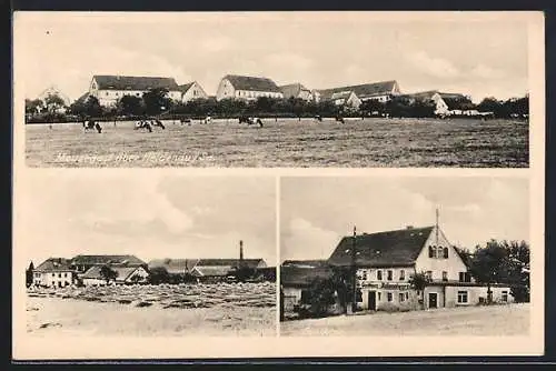 AK Meusegast, Rittergut, Gasthaus, Blick zum Ort, Kühe