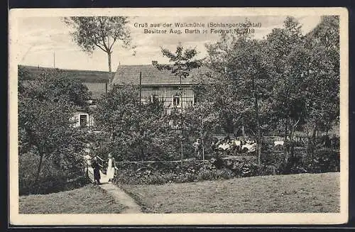 AK Schleiz, Gasthaus Walkmühle v. Aug. Barth im Schlangenbachtal