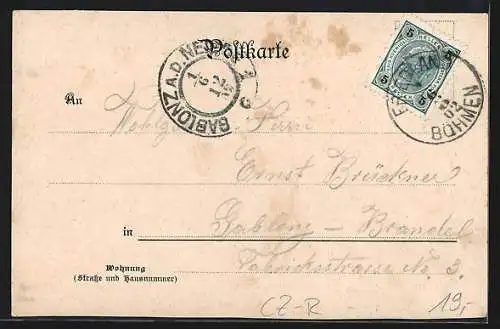 Lithographie Friedland / Frydlant, Rathaus, Aussichtsturm, Schloss