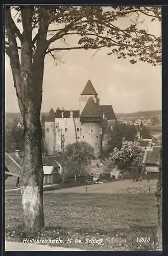 AK Heidenreichstein /N. Oe., Ortsansicht mit Schloss