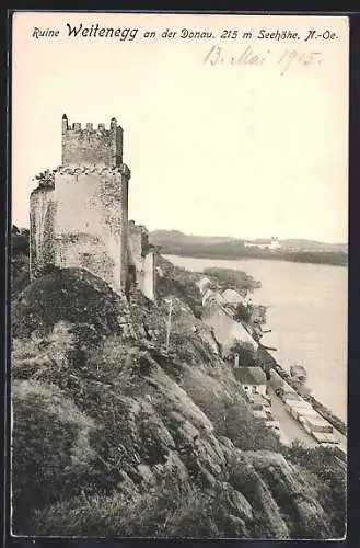 AK Weitenegg an der Donau, Ruine mit Donaupartie