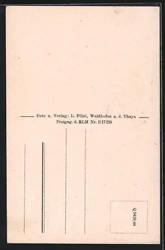 AK Waidhofen a. d. Thaya, Ortsansicht mit Flusspartie