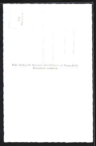 AK Waidhofen a. d. Thaya, Inneres der Stadtpfarrkirche