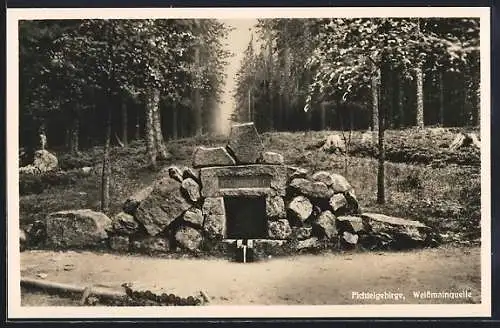 AK Fichtelberg / Ofr., Waldpartie mit Weissmainquelle