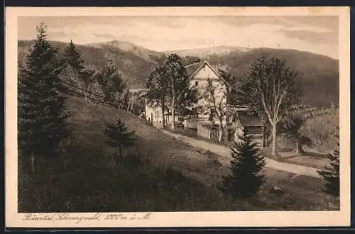 AK Bärental /Schwarzwald, Gasthaus zum Bären mit Blick auf den Feldberg