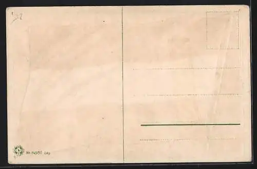 Künstler-AK Wehende argentinische Nationalflagge