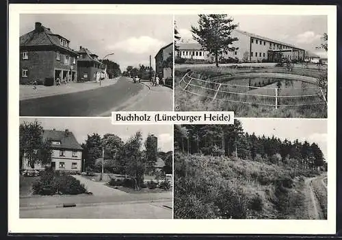 AK Buchholz /Lüneburger Heide, Strassenpartie, Gebäude, Wald