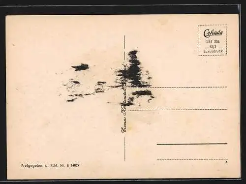 AK Oberstein a. d. Nahe, Blick auf altes und neues Schloss und Felsenkirche
