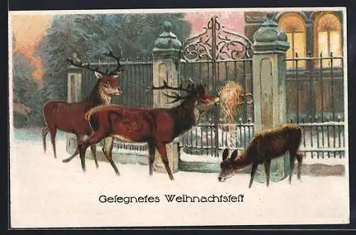 AK Zwei Hirsche und Reh am Tor im Schnee, Weihnachtsfest