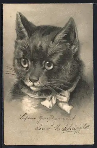 Lithographie Porträt einer Katze mit Schleife