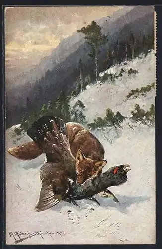 Künstler-AK M. Müller jun.: Fuchs reisst einen Auerhahn