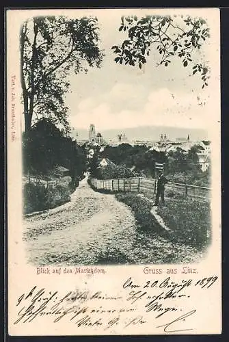 AK Linz, Blick auf den Mariendom