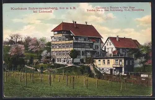 AK Schwarzenberg / Liebenzell, Gasthaus u. Pension z. Löwen