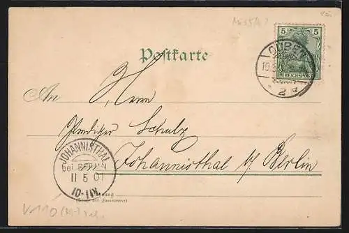 AK Guben, Ortsansicht v. d. Neissebergen aus