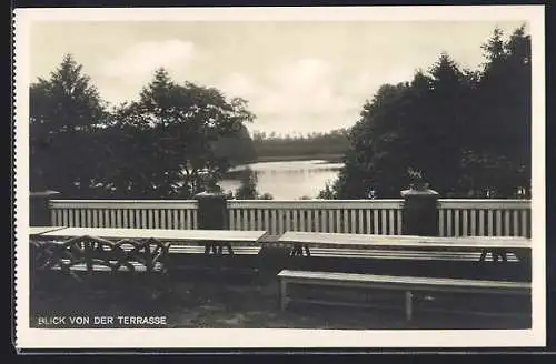 AK Rheinsberg, Jugendherberge, Blick von der Terrasse auf den Prebelow-See