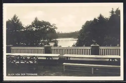 AK Rheinsberg, Jugendherberge, Blick von der Terrasse auf den Prebelow-See