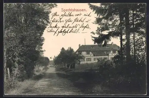 AK Spechtshausen, Waldstrasse am Ortseingang