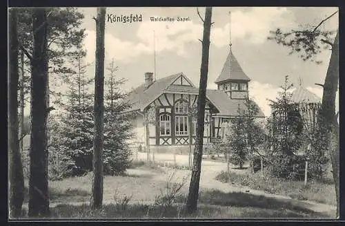 AK Königsfeld / Baden, Wald-Café Sapel am Waldrand