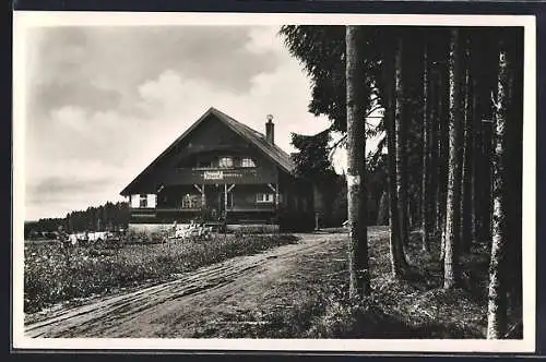 Foto-AK Königsfeld i. Schwarzwald, Ansicht vom Kaffee Albblick