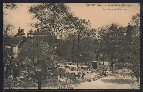 AK Anvers, Une vue dans le Jardin Zoologique, le Parc aux Mouflons