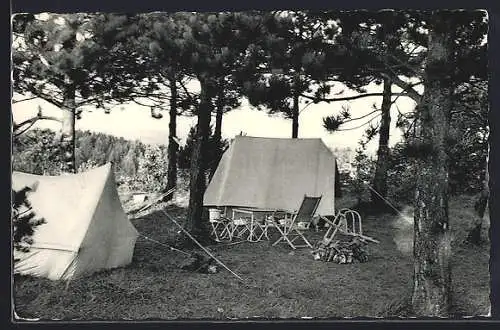 AK Marche-en-Famenne, Euro-Camping Paola