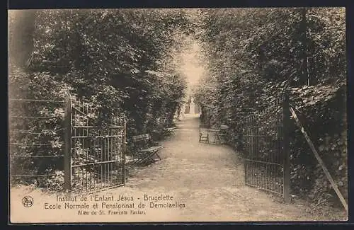AK Brugelette, Institut de l`Enfant Jésus, Ecole Normale et Pensionnat de Demoiselles, Allée de St. Francois Xavier
