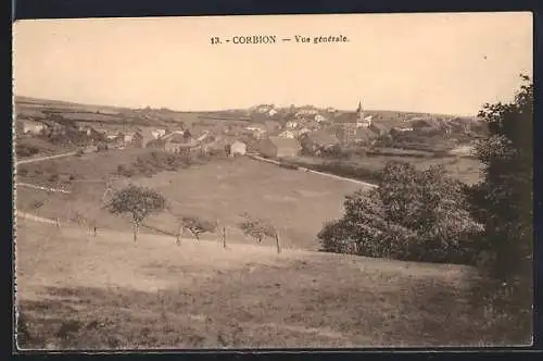 AK Corbion, Vue générale