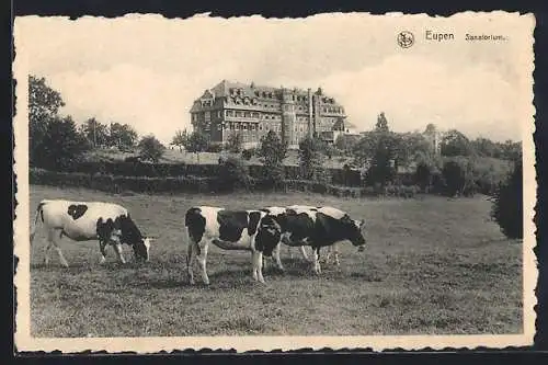 AK Eupen, Sanatorium mit Kühen