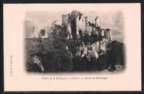 AK Falaen, Vallée de la Molignée, Ruines de Montaigle