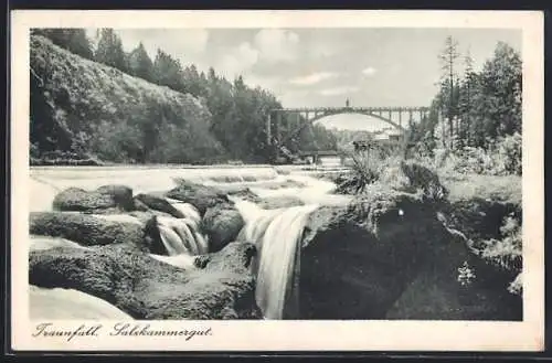 AK Traunfall, Wasserfall mit Brücke