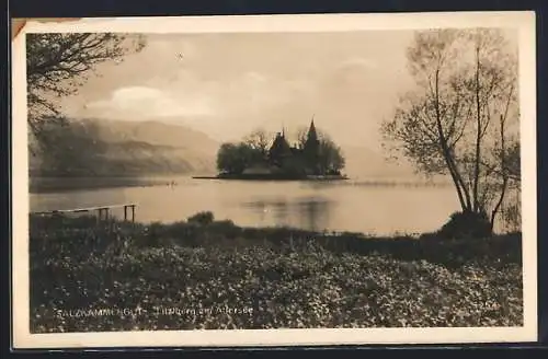 AK Litzlberg am Attersee, Uferpartie mit Bäumen