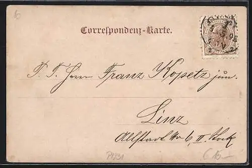 AK Niederwaldkirchen, Totalansicht mit Kirche aus der Vogelschau