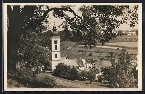 AK Niederwaldkirchen i. Mühlkreis, Teilansicht mit Kirche u. Feldern