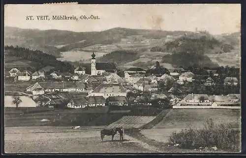 AK St. Veit /Mühlkreis, Gesamtansicht mit Fernblick, mit Bauer u. Pferd