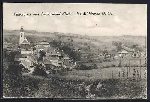 AK Niederwald-Kirchen im Mühlkreis, Ortsansicht mit Landstrasse und Umgebung