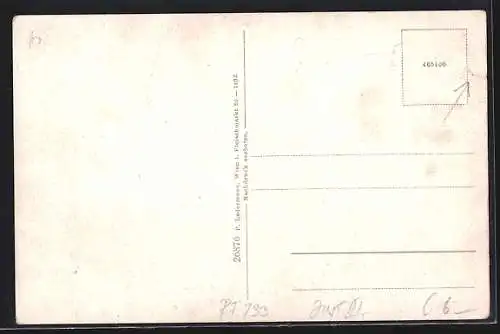 AK St. Veit /Mühlkreis, Hunde-Denkmal, Schloss im Jahr 1600 und jetzt als Kloster