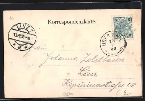 AK Obermühl, Ortsansicht mit Bergpanorama vom Wasser aus