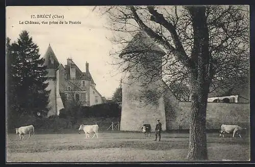 AK Brécy, Le Château, vue prise de la Prairie