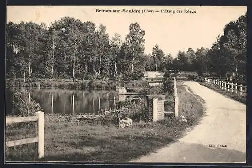 AK Brinon-sur-Sauldre, L`Étang des Réaux et le chemin bordé d`arbres