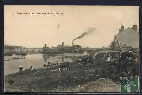 AK Vierzon, Les Rives du Cher avec vaches au bord de l`eau