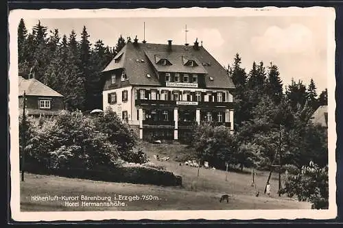 AK Bärenburg, am Hotel Hermannshöhe