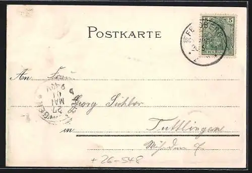 Künstler-AK Feldberg, Der Feldbergerhof und Seebuck