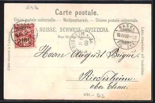 Lithographie Basel, Centralbahnhof, St. Jacobs-Denkmal, Panorama, Ansicht auf Paket feinster Basler Leckerli