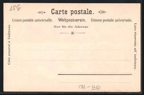 AK Bern, Hotel Belle-Vue, Salle de Lecture, Panorama um 1900