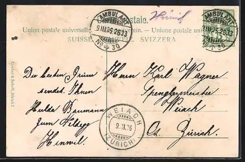 AK Hinwil, Untere Bahnhof-Strasse mit Gasthof z. Feldegg und Hotel Bachtel, Handlung