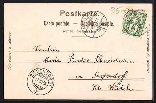 AK Meilen, Hotel Löwen mit Pferdekutsche, Panorama am Abend