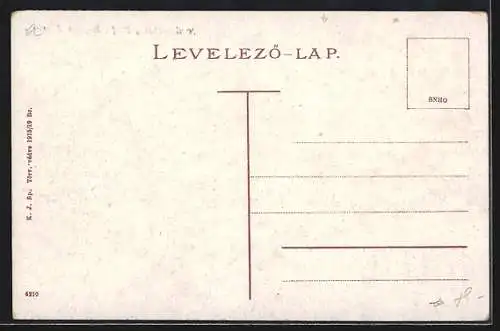 AK Nagyvarad, Bemer-ter