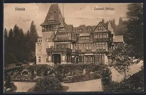 AK Sinaia, Castelul Palisor