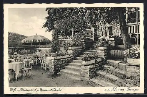 AK Berlin-Zehlendorf, Cafe-Restaurant Krumme Lanke, Blumen-Terrasse