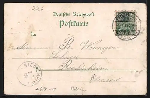 Lithographie Freiburg / Breisgau, Uhren-Saal, Terrasse, Restaurationsgarten der alten Busse